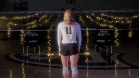 Tommie Volleyball GIF by Tommie Athletics