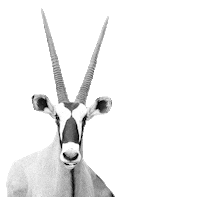 Countdown Ecommerce Sticker by Spryker