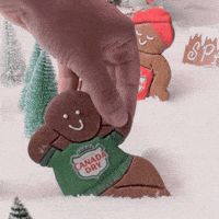 Sponsored gif. A hand reaches down and pulls a lounging gingerbread man in a Canada Dry sweater out of a snowy scene. Text: "NOPE." 