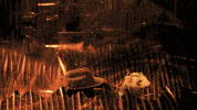 craig robinson lol GIF by Gunpowder & Sky