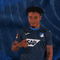 Sport Bundesliga GIF by TSG Hoffenheim