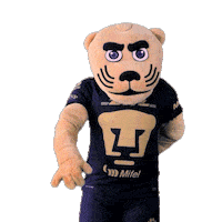Proud Football Sticker by Pumas MX