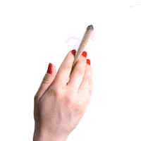 weed marijuana Sticker by nic a