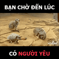 lozico lozihn GIF
