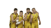 Liga Endesa Basketball Sticker by ACB