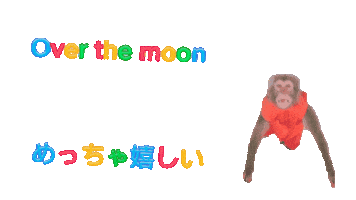 Fun Monkey Sticker