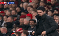Arteta GIF by memes