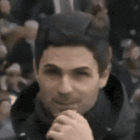 Mikel Arteta GIF by memes