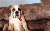 GIF by Silwale