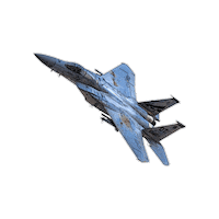 Air Force Eagle Sticker by RampCheckGlobal