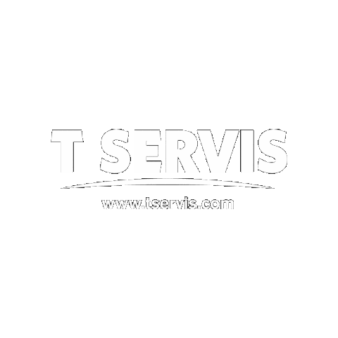 Festival Lights Sticker by TSERVIS
