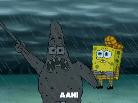 season 8 episode 3 GIF by SpongeBob SquarePants