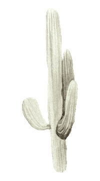 Plant Sticker by urbanwalls