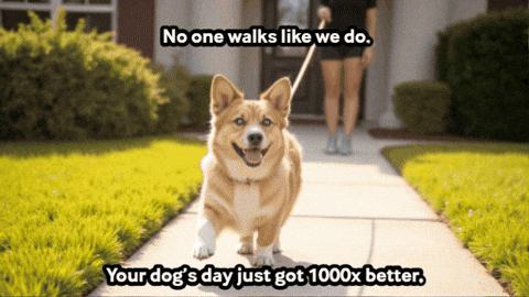 Corgi Pam GIF by Paws Around Motown