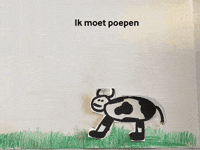 GIF by Kunstkwartier