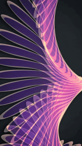 mattantonucci giphyupload GIF