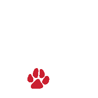 Travel Paws Sticker by Lynx Air