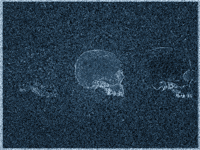 Color Dark GIF