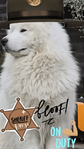 Work Working GIF