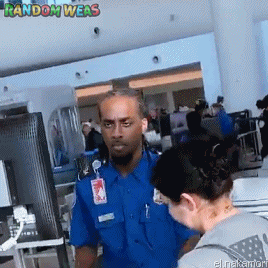 luizbertoletti giphyupload GIF