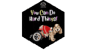 Wheelchair Sticker by Camp Cocker Rescue