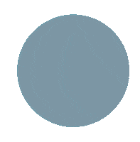 College Lion Sticker by Vanguard University