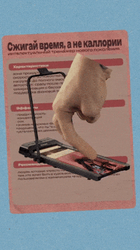 dsvdny dsvdny tojesport GIF