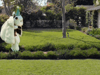 Birthday Party Tip Toe GIF by thatgamecompany