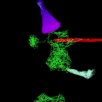 LineApeClub obscure line ape club obscure prints line apes GIF