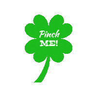 Pinch Me St Patricks Day Sticker by Foster Bubbies
