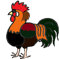 Rooster Chickens Sticker
