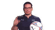 Switzerland Think Sticker by Swiss Football Association