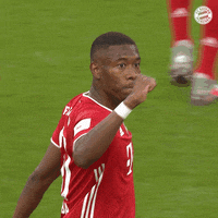 Dfb Pokal Celebration GIF by FC Bayern Munich