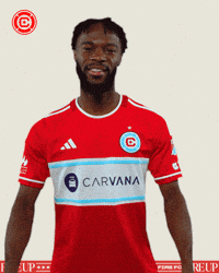 Happy Chicago Fire GIF by Chicago Fire Football Club