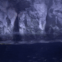 Fish Shark GIF by Aquarium of the Pacific