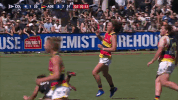 celebrate GIF by Adelaide Crows