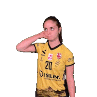 Sport Hello Sticker by cuneo_granda_volley