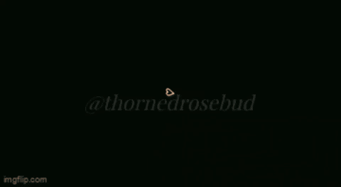 ThornedRosebud christmas pink snow magic GIF