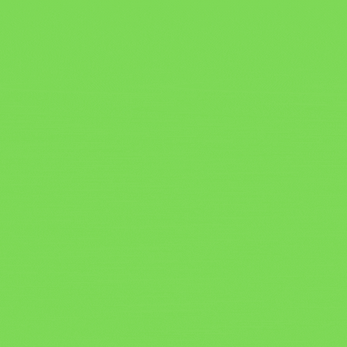 petzzshopcf giphyupload petzzshop GIF