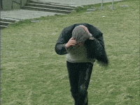 Wind Hurricane GIF by Team Coco