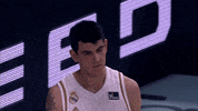 Real Madrid Basketball GIF by ACB