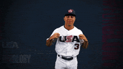 Pro GIF by USA Baseball