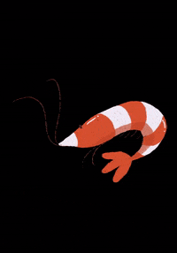 nadyacaka animal shrimp nadyacaka redbee GIF