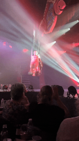 Bristol GIF by Stella 52