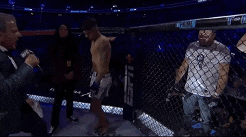 Mixed Martial Arts Sport GIF by UFC