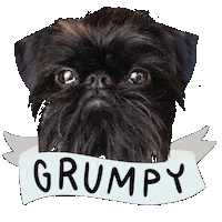 Conor Griffon Sticker by ExiterDiary