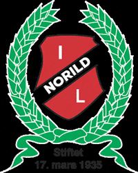 norild_official norild GIF