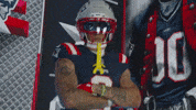 Football Nfl GIF by New England Patriots