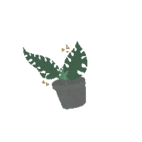 Plant Grow Sticker