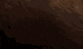 boat speed GIF by Swamp People